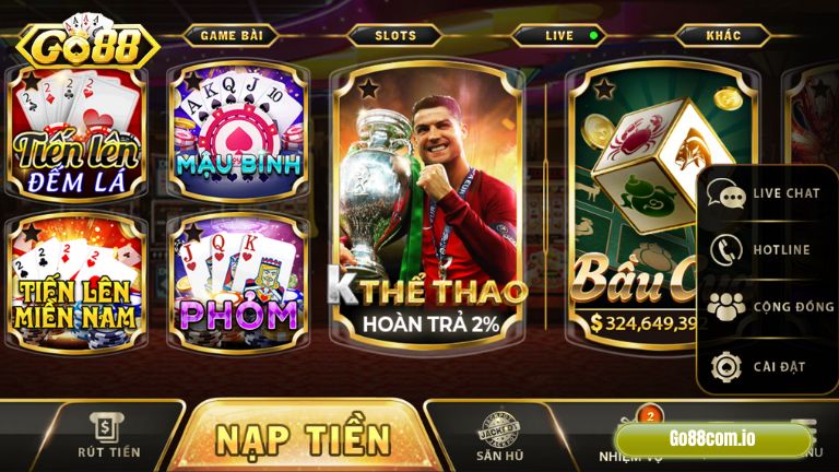 Banner koeivietnam.com